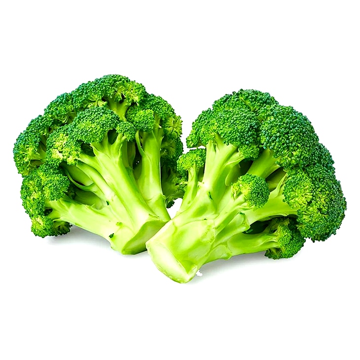 西兰花提取物 