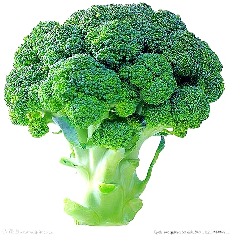西兰花提取物 